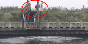 - 信城网 - 哈尔滨信城网 - 哈尔滨论坛 - 哈尔滨门户网 -