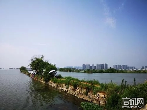 武汉不只有东湖，还有3个湖泊各有千秋，你去过吗？ - 信城网 - 哈尔滨信城网 - 哈尔滨论坛 - 哈尔滨门户网 - t012ab6cf952d6f4868.webp.jpg