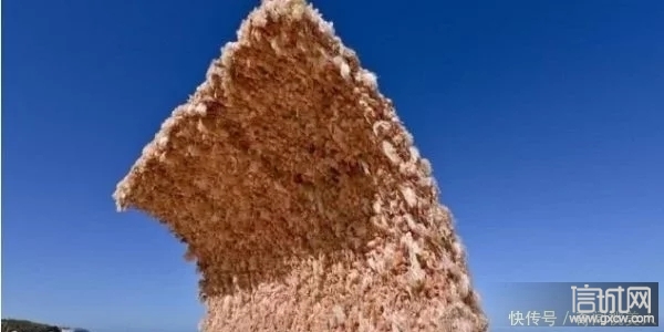 世界上最诡异的墙由4千个娃娃组成当地人没人敢到站5分
