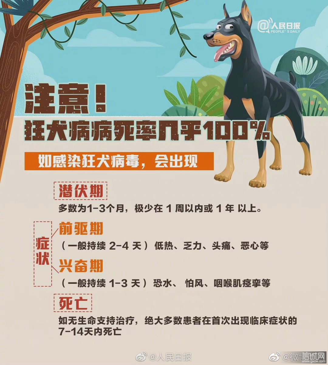狂犬病病死率几乎100%