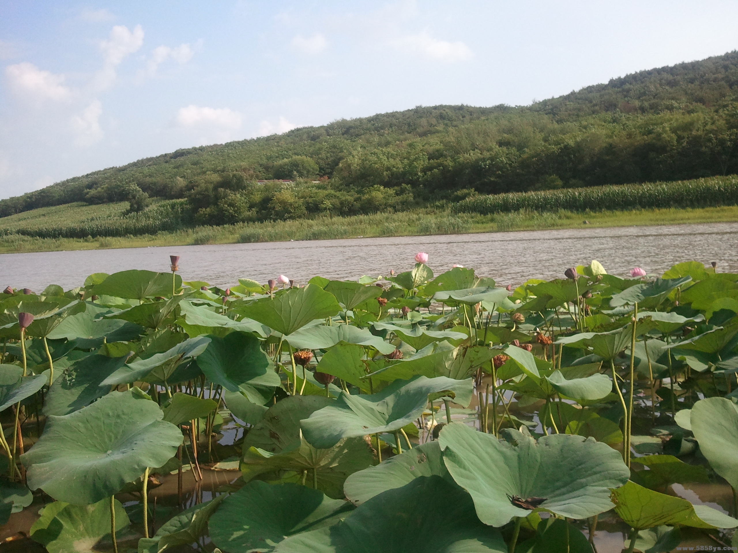 宾县猴石山.青莲寺