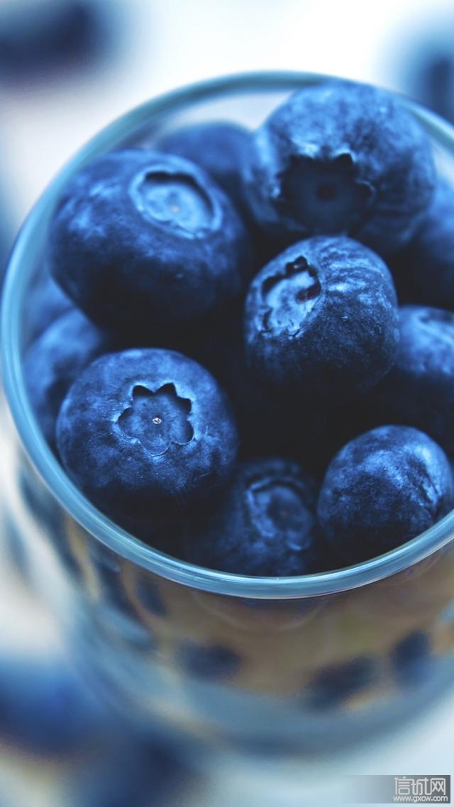 蓝莓护眼壁纸食欲大振
