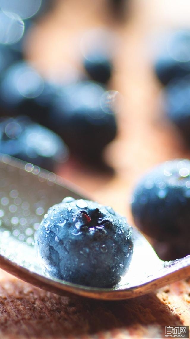 蓝莓护眼壁纸食欲大振