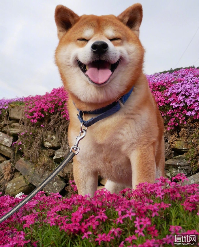 哈尔滨论坛 - 哈尔滨门户网 - 91a064ed833a4abb85692d0f21417e42