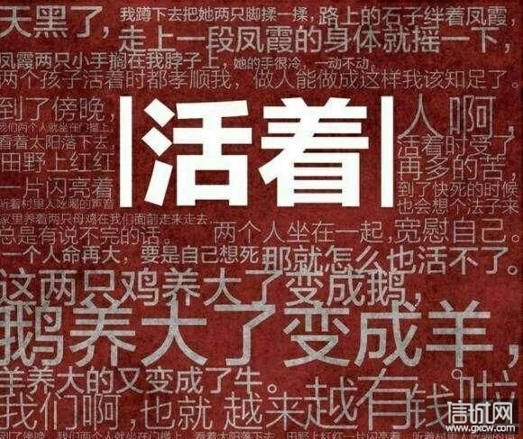 《活着》生活是一种人生态度的选择,是属于自己的感受