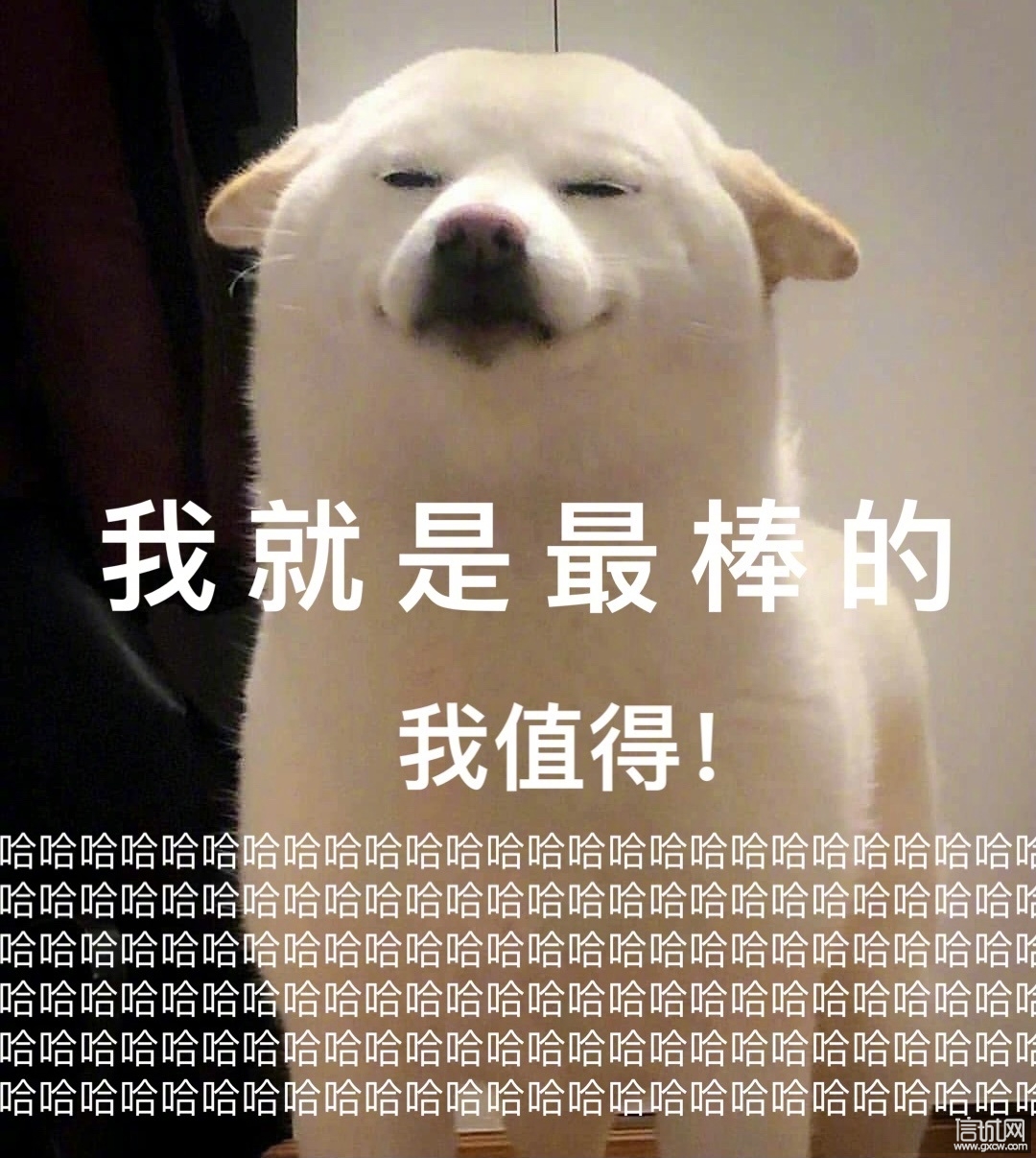 当我被夸奖时 - 信城网 - 哈尔滨信城网 - 哈尔